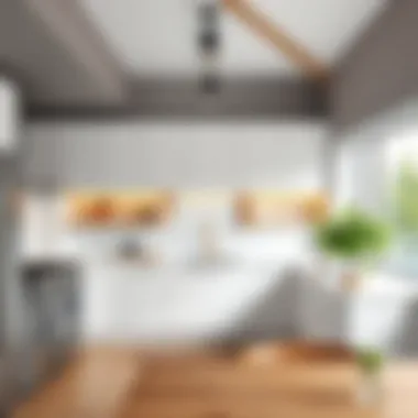 Efficient Kitchen Layout Modern kitchen layout showcasing efficient space utilization