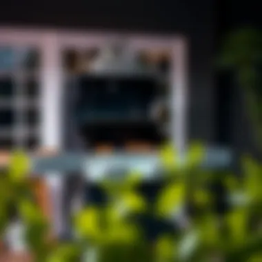 Key Features to Look for in a BBQ Grill Essential features of a quality BBQ grill