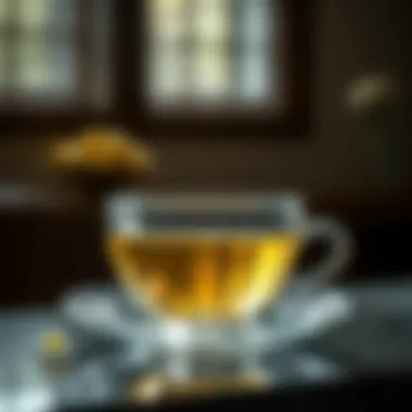 Artisan Craftsmanship in Clear Saucers Artisan-crafted clear saucer emphasizing transparency