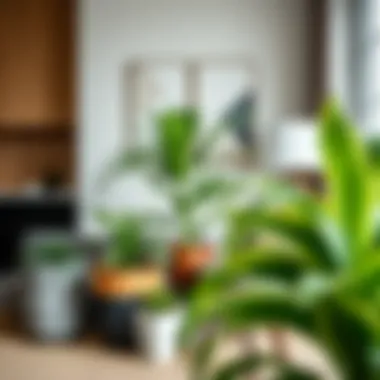 Planter Bits in Modern Interior Design Aesthetic arrangement of planter bits in a modern interior