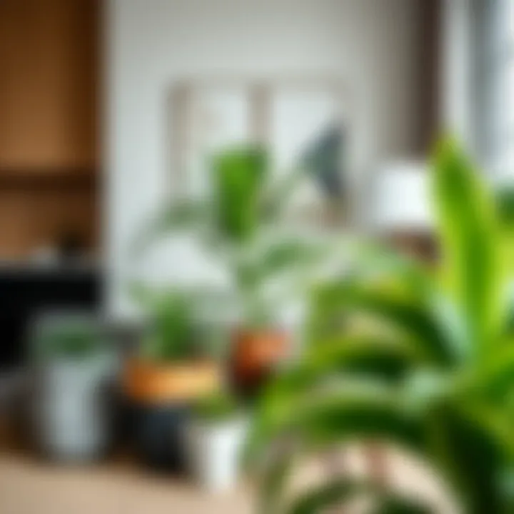 Planter Bits in Modern Interior Design Aesthetic arrangement of planter bits in a modern interior