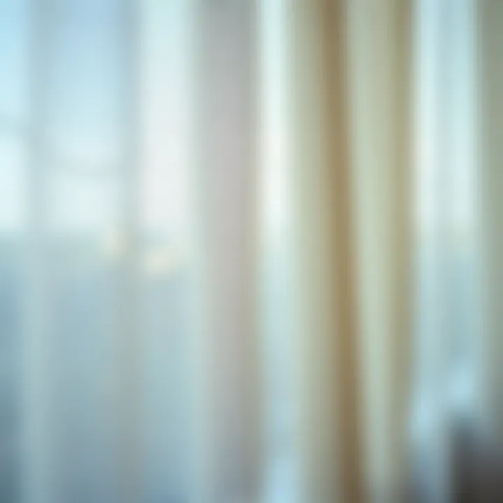 Textured Sheer Fabric and Light Filtration Close-up of sheer fabric displaying its texture and light-filtering qualities.