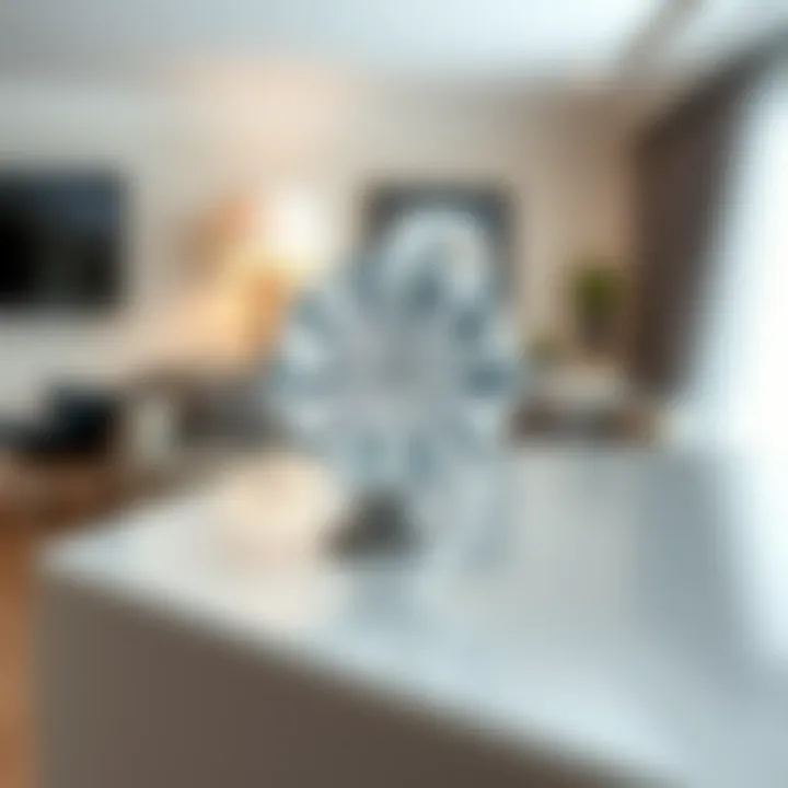 Elegant Glass Decorative Knob Elegant glass decorative knob in a modern setting