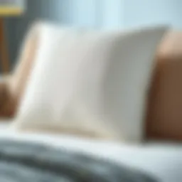 High-quality down pillow insert showcasing plush texture