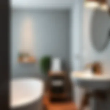 Contemporary bathroom accessories enhancing decor