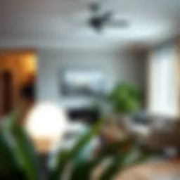 A smart home showcasing Bluetooth light bulbs