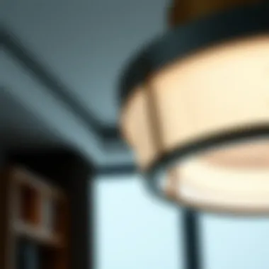 Innovative Design of Low Profile Ceiling Light Close-up of innovative low profile ceiling light showcasing design details