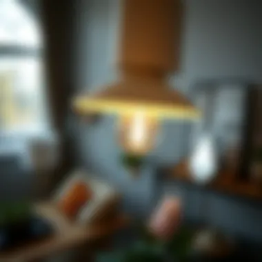 Close-up of a stylish clip-on light fixture cover illuminating a room