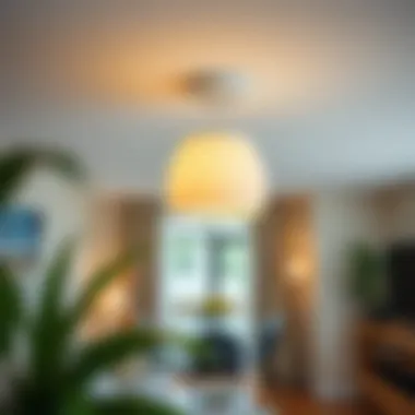 Clip-on light fixture cover installation in a contemporary setting