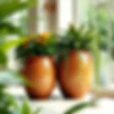Elegant extra large ceramic planter showcasing vibrant greenery