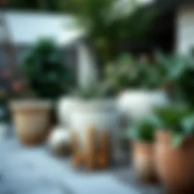 Outdoor Garden with Ceramic Planters Outdoor arrangement featuring large ceramic planters in a garden setting