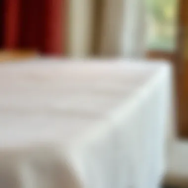 Close-up of flannel back table cloth fabric texture