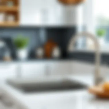 Stainless steel dish drain rack complementing contemporary kitchen decor Stainless steel dish drain rack in a contemporary kitchen