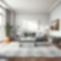 Elegant gray 4x6 area rug in a modern living room setting