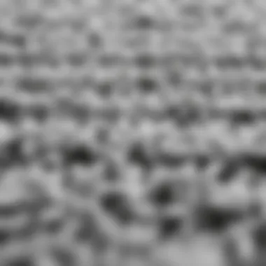 Textural Detail of Gray Rug Close-up view of the texture of a gray area rug