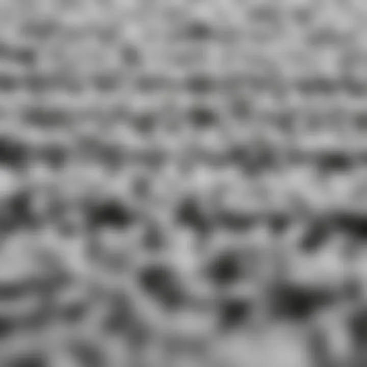 Textural Detail of Gray Rug Close-up view of the texture of a gray area rug