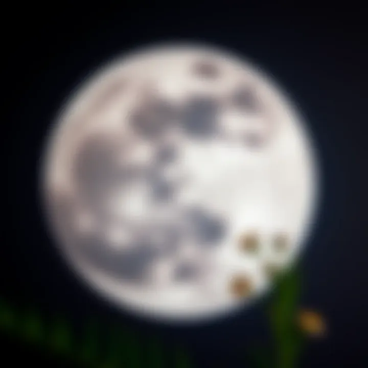 Textured Moon: A Close-Up Perspective Detailed close-up of a moon painting with textured effects