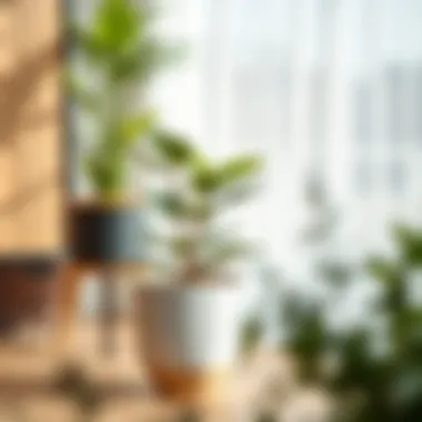 Medium Pots in Indoor Aesthetics A stylish medium pot placed indoors, complementing interior decor