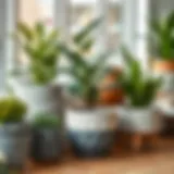 A variety of medium planting pots showcasing different materials and textures