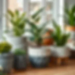 A variety of medium planting pots showcasing different materials and textures