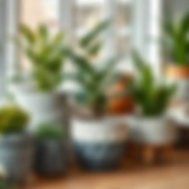 Diverse Medium Planting Pots A variety of medium planting pots showcasing different materials and textures