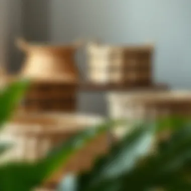 Diverse materials used in crafting modern weave baskets