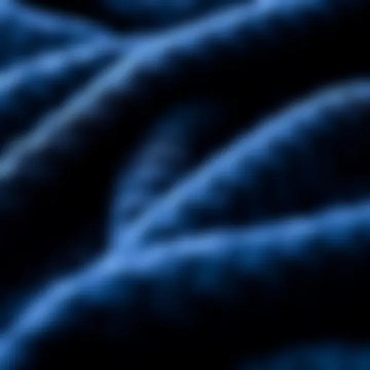 Intricate Textures of Navy Blue Throw Close-up of soft navy blue throw showcasing intricate fabric texture