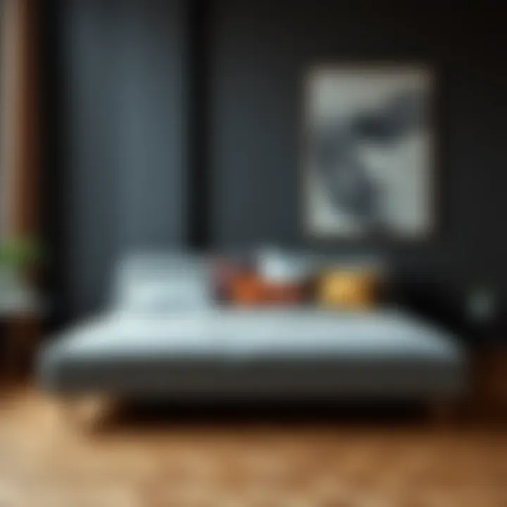 Functionality and Versatility of a Bed-Couch Hybrid Functionality and versatility of a bed-couch hybrid