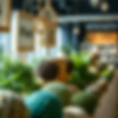 Sustainable materials used in creating plant balls displayed in an artistic manner