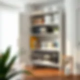 Innovative design of a plastic cabinet organizer showcasing versatility