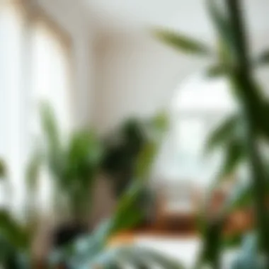 Bright room with tall thin plants enhancing the ambiance