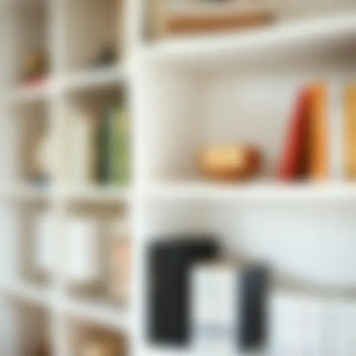 Textures and Finishes: The Beauty of White Shelving Close-up of a white open bookshelf displaying various textures and finishes