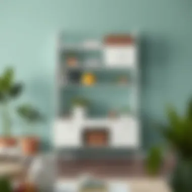 Trendy storage options reflecting diverse lifestyles