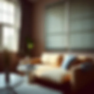 Stylish Interior Blinds Stylish 72 x 60 blinds complementing interior decor