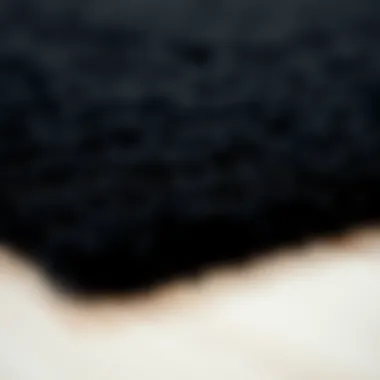 The Luxurious Texture of Super Soft Black Rugs Luxurious texture of a super soft black rug