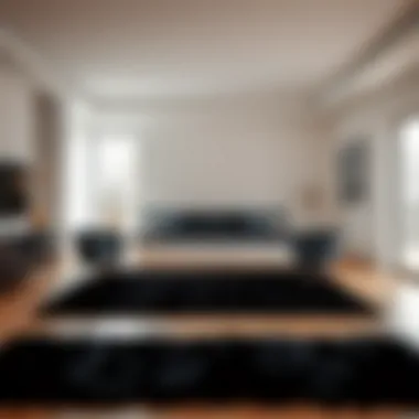 Essential Maintenance Tips for Super Soft Black Rugs Maintenance tips for super soft black rugs in a modern home