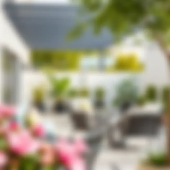 Aesthetic appeal of Palissade collection in a modern patio