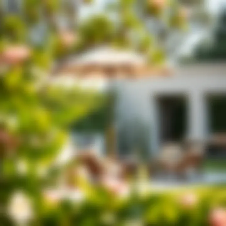 Durable Palissade materials showcased in a garden setting