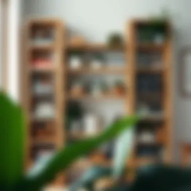 Organized Storage Solutions with Narrow Shelves Organized narrow shelf filled with books and plants