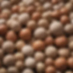 Close-up of clay pebbles showcasing their unique texture and color