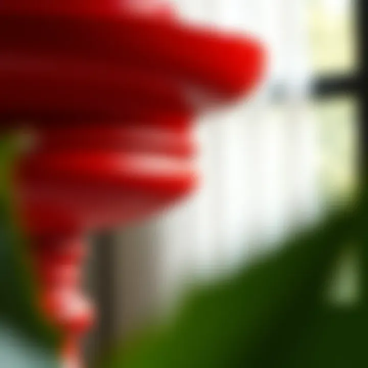 Close-Up of a Unique Red Accent Table A close-up of a beautifully crafted red accent table, highlighting its unique design and material details.