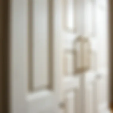Detailed view of white wooden cabinet doors showcasing craftsmanship