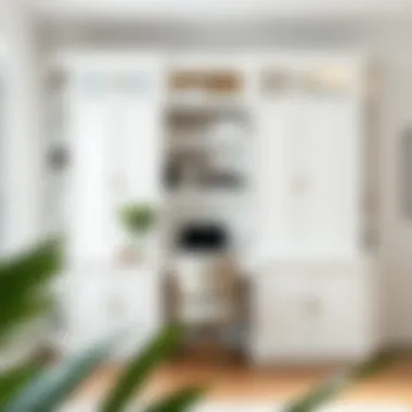 Functional white wooden cabinet used for storage in a home office