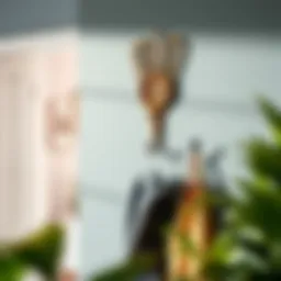 Elegant rattan hook rack showcasing stylish design