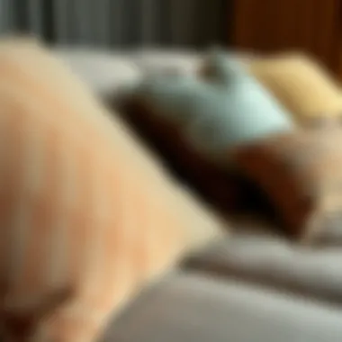 Close-up view of luxurious materials used in couch beds