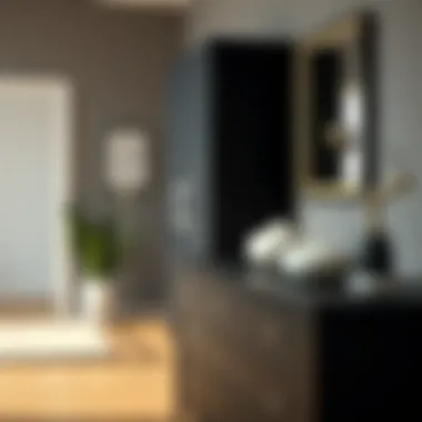 Practical Features of No-Assembly Black Dresser Practical features of a no-assembly black dresser