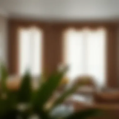 Installation of semi sheer curtains in a modern setting