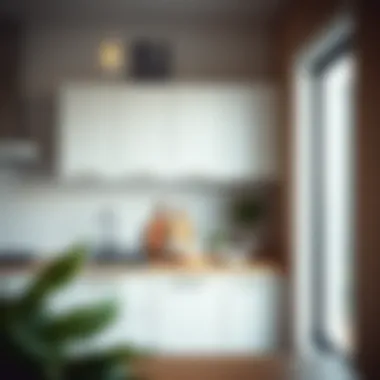 Compact wall-mounted sink cabinet maximizing space in a small kitchen