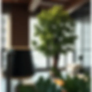 Selection of suitable tree species for indoor environments