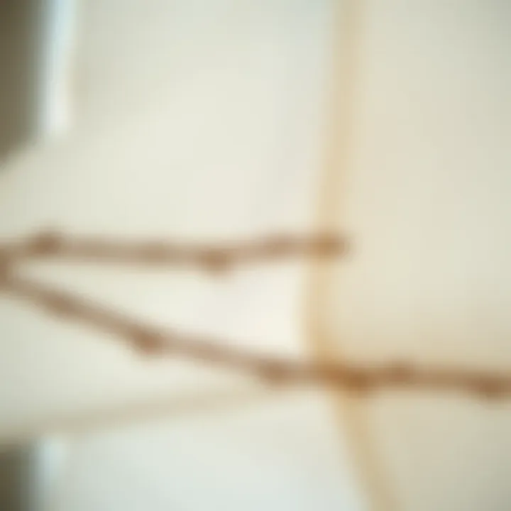 Diverse Fabric Textures for Roman Blinds Close-up view of fabric textures for Roman blinds